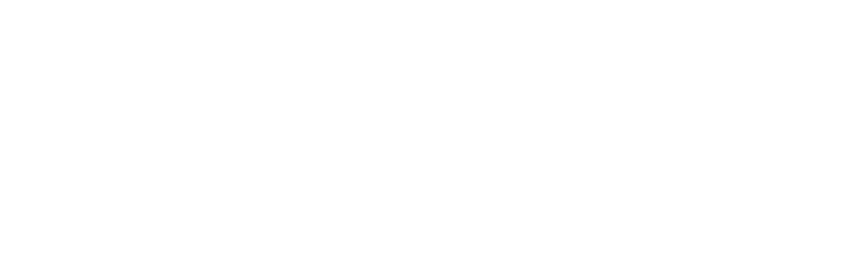 NAEC Logo
