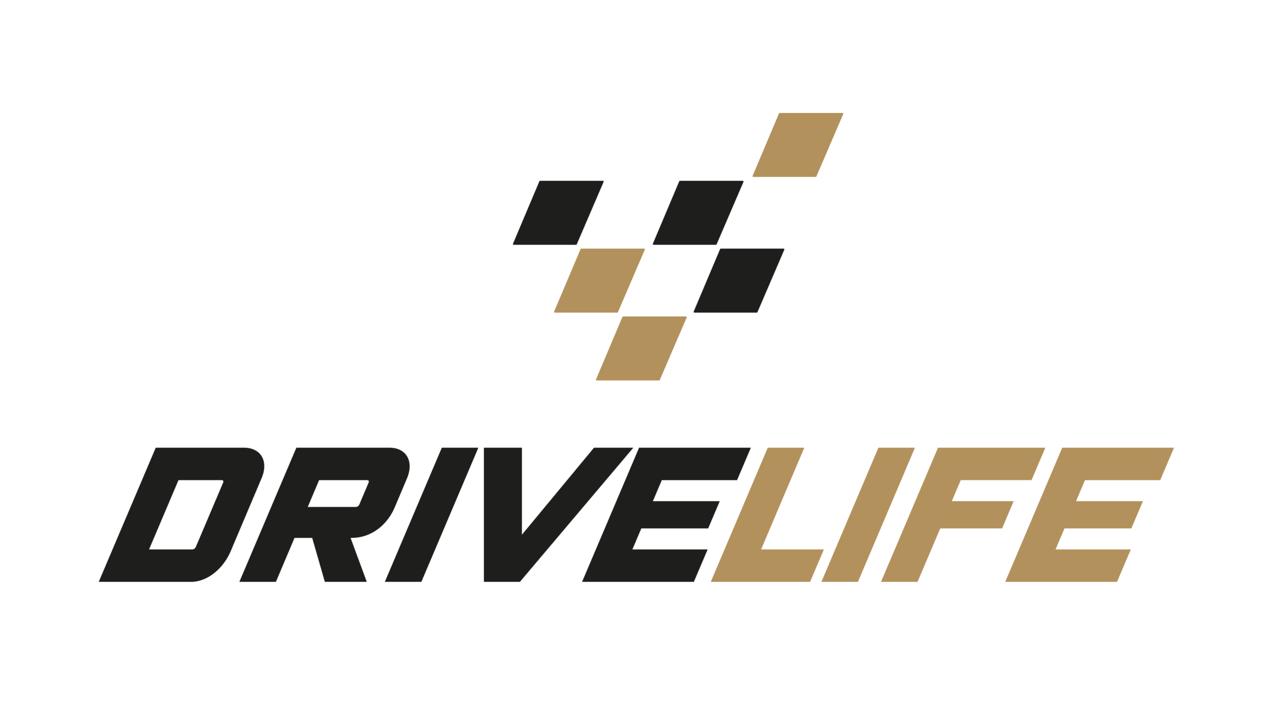 Drive Life Logo