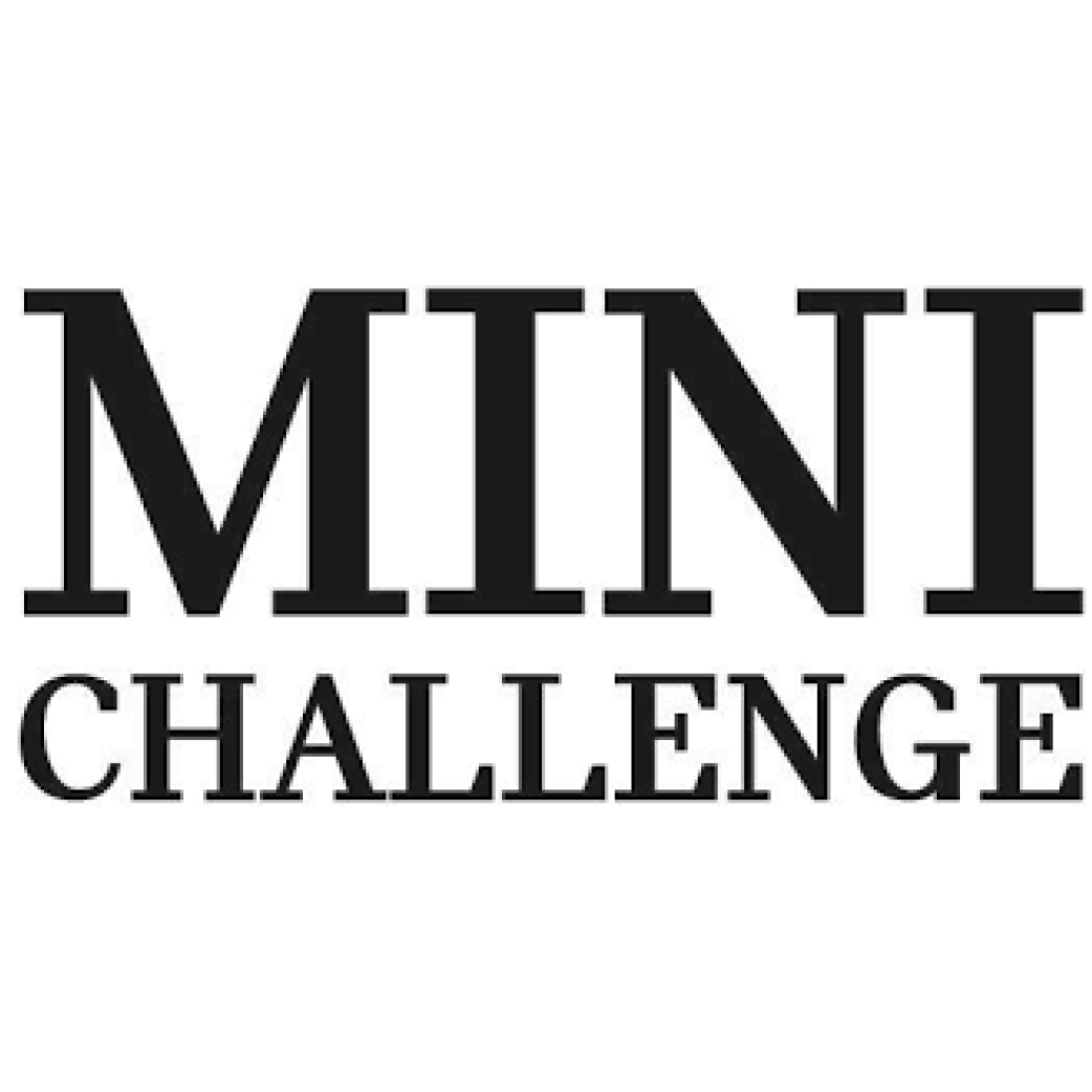 Mini Challenge